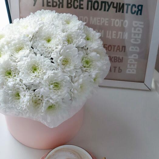 Chrysanthemums in a box