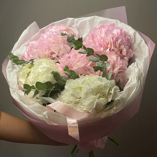Hydrangea Monobucket