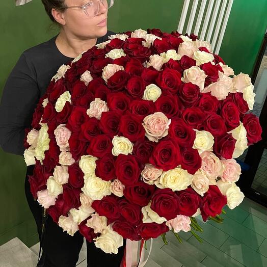 VIP rosse 151штука