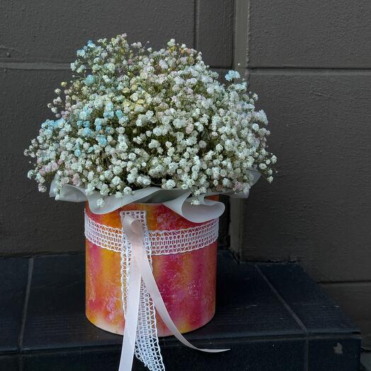 Gipsofila colorida na caixa