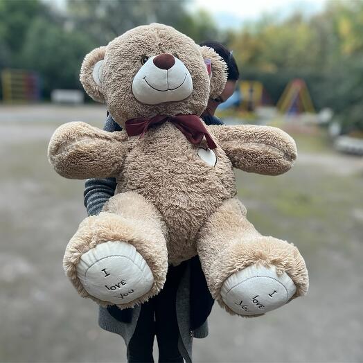 Медведь плюшка