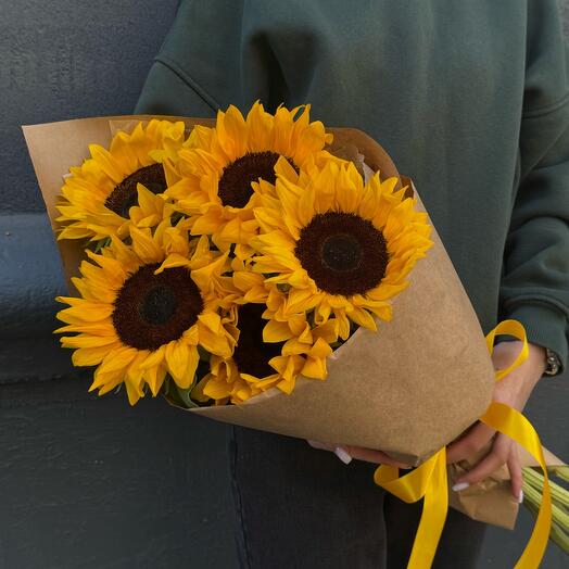Mono con girasoles