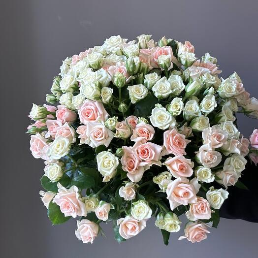 49 кустовых роз