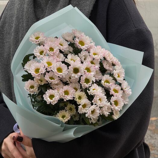 Букет из светлых хризантем сантини