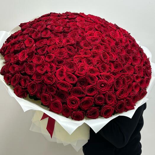 Букет из 301 шт