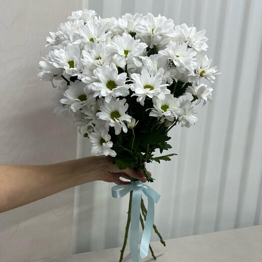Monobucket of 5 chrysanthemums (MB28)