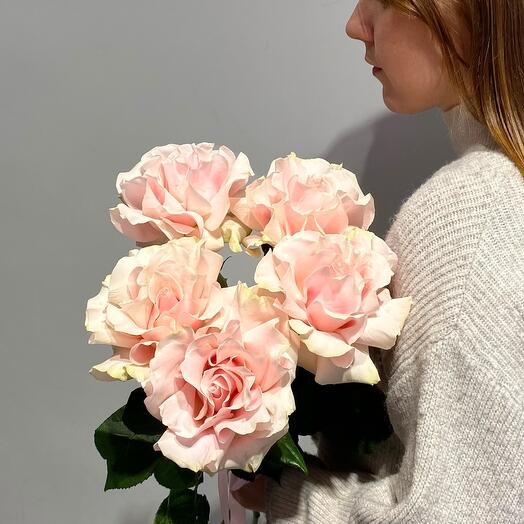 Soft pink French roses 5 pieces