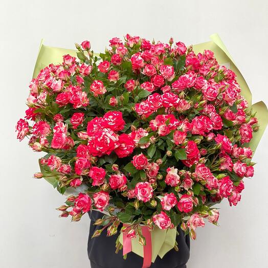 Букет из 25 кустовых роз