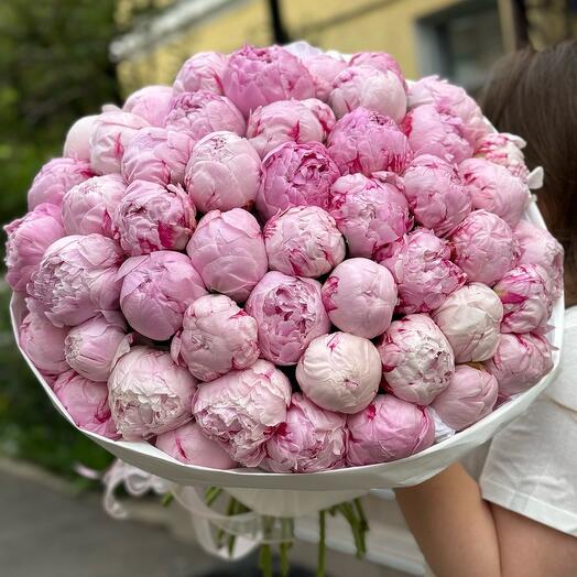 51 peonies