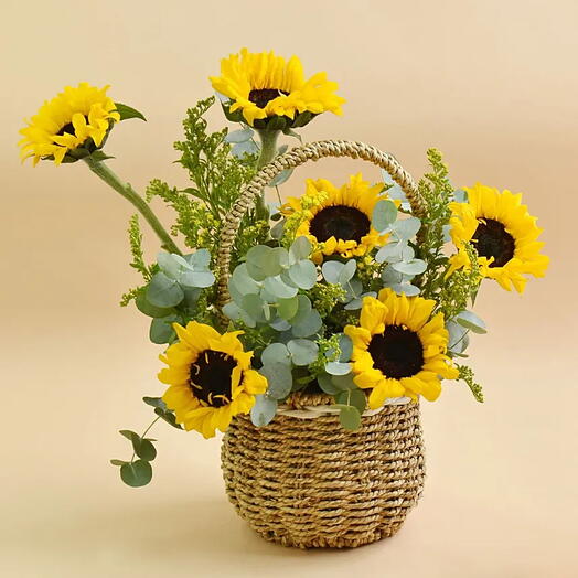 Sunflower Shine: 6 Sunflowers, Yellow Solidaster in a Beautiful Basket