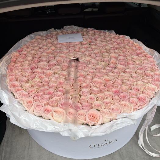 Box Pink Love XL