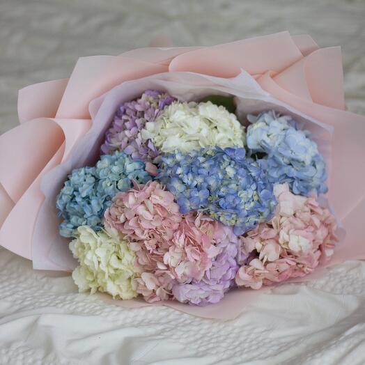 9 гортензий микс