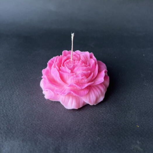 Pink peony