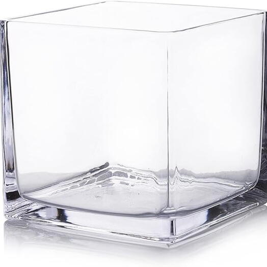 Square Glass Vase 10*10Cm