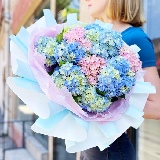 Bouquet of pink and blue hydrangeas