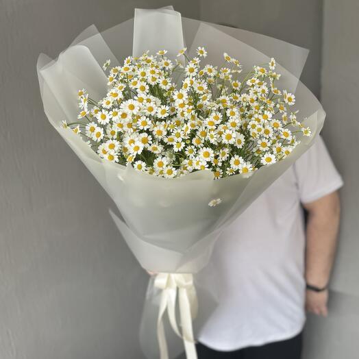 Полевая ромашка потрясающий букет для любимой 🌸
