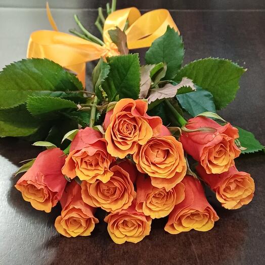 11 roses SPAIN