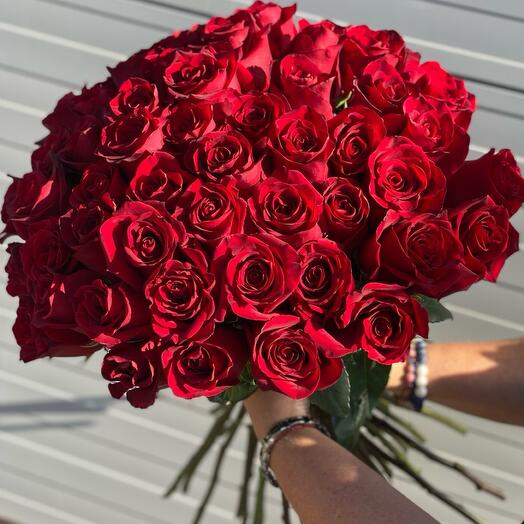 51 Роза🌹красные розы Эквадор