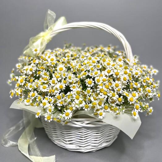 Корзина с ромашкой