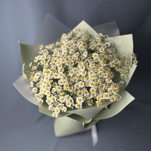 Bouquet from the matricaria