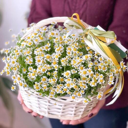 Роскошная корзинка с кустовыми ромашками