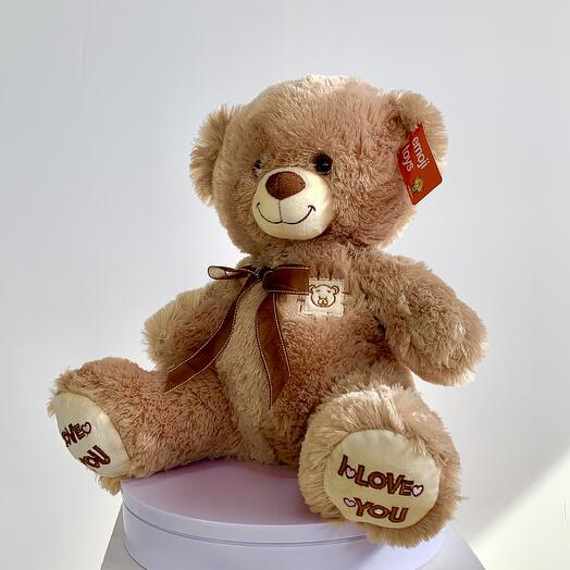 Коричневый Медведь love you