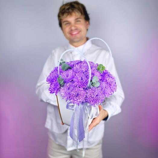 Фиолетовая кустовая хризантема Алтай 5 шт в сумочке