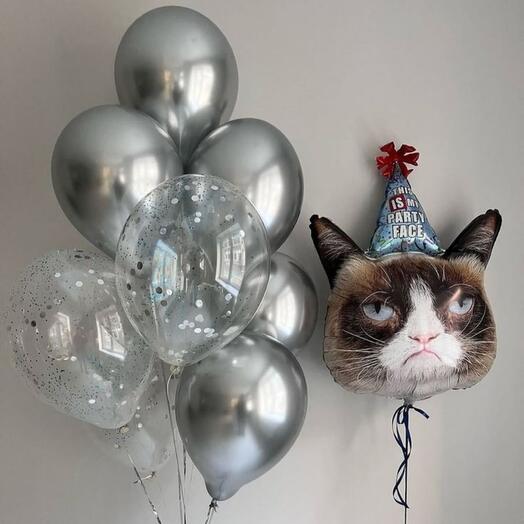 Воздушные шары "Кот и фонтан "