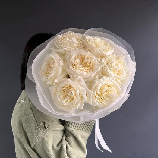 Канделайт 🤍