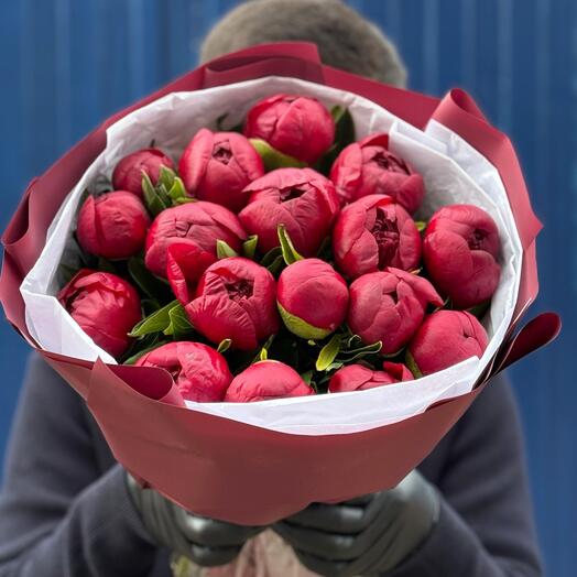 Пионы бордовые ред шарм 17шт