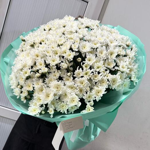 Хризантема белая