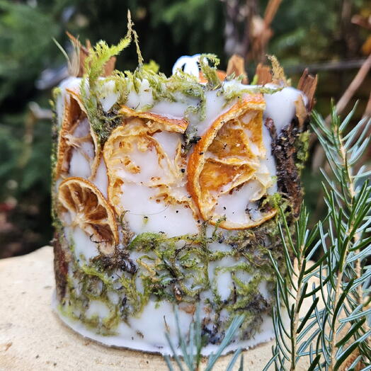 Vela botânica – conto de inverno