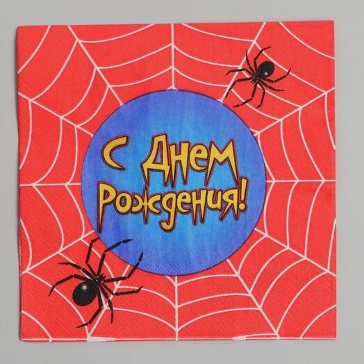 Салфетки бумажные двухслойные «С днём рождения», паутина, 33×33, 20 шт
