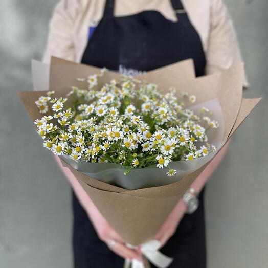 Tanacetum matricaria 9