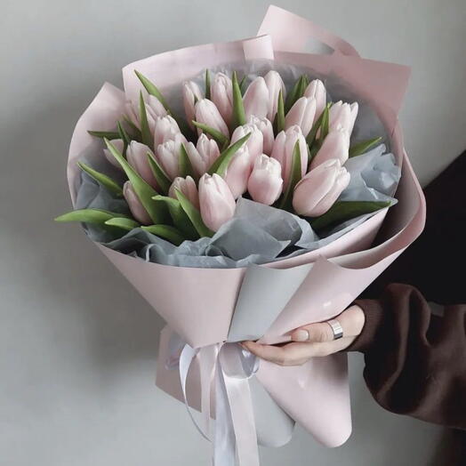 Rożowy tulipan Holandia