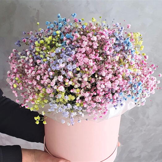 Гипсофила в коробке