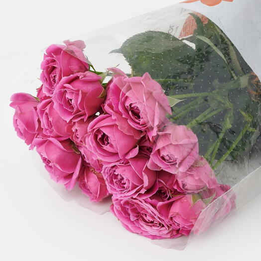 Пачка роз (10 штук) Мисти Баблз, 40 см