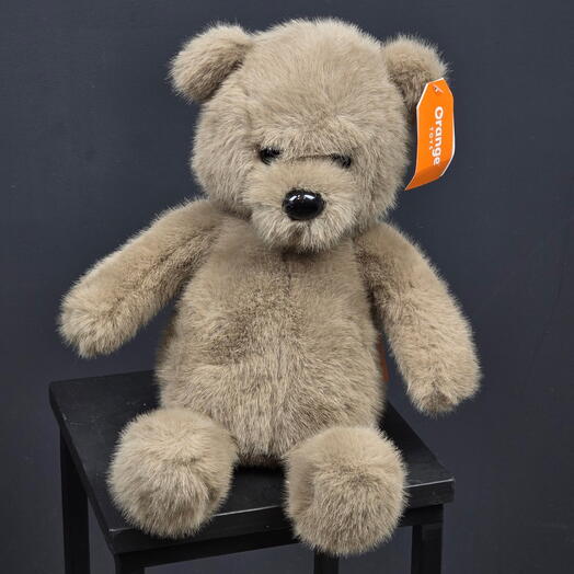 Мишка Торопыжкк