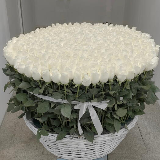 1001 белая роза Эквадор в корзине 😍