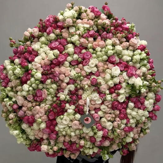 201 Spray roses- 201 სპრეი ვარდი