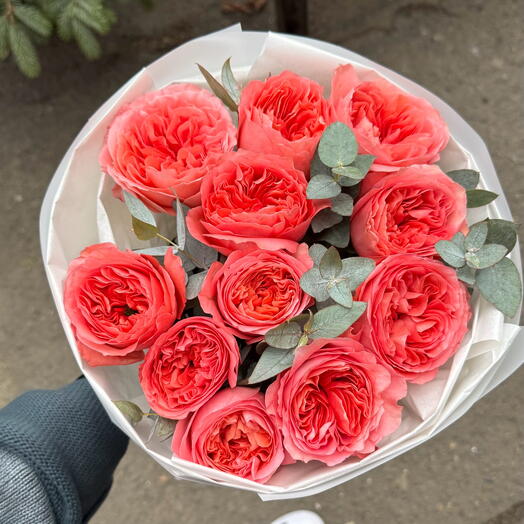 Garden rose Candy with eucalyptus