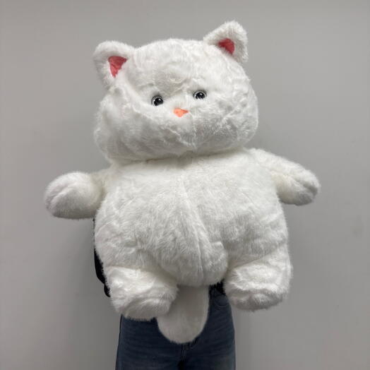 Кот большой белый