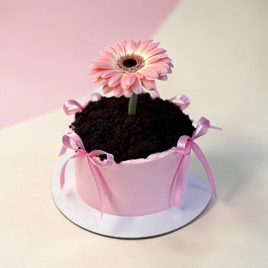 Бенто торт с живым цветком