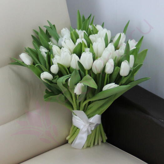 Букет из 51 белого тюльпана