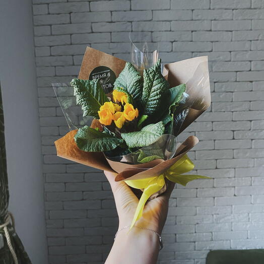 Примула в горшке (желтая)