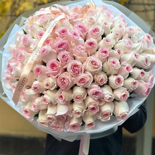 Blush Elegance