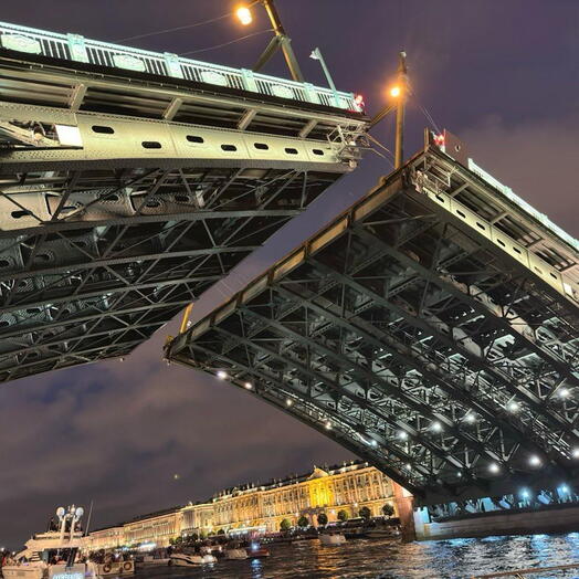 Развод мостов на катере Larson 210 до 7 человек