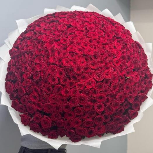 501 Красная Роза 🌹