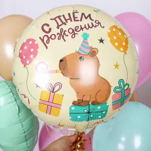 Шар круг «с днём рождения с капибарой»