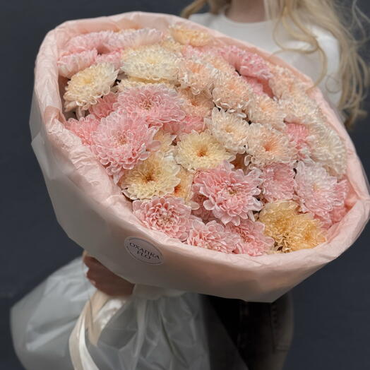 Хризантема кустовая, 15 шт